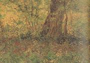Undergrowth (nn04), Vincent Van Gogh